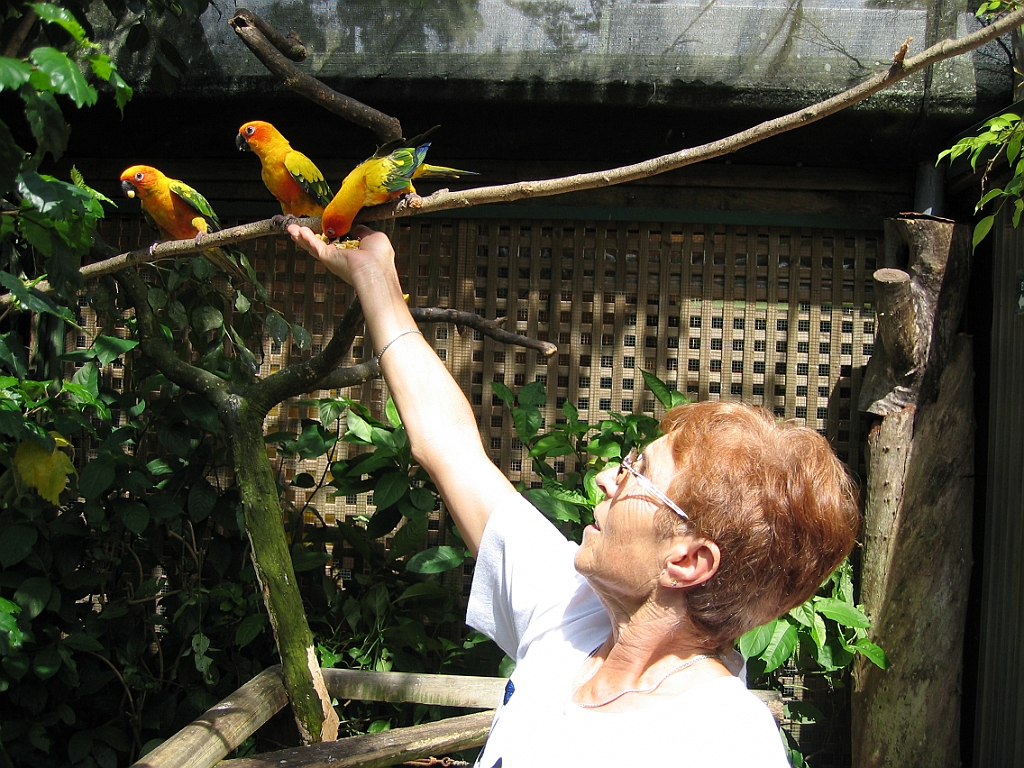 038 Birdworld Kuranda.jpg